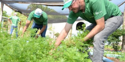 Desalinhamento institucional, alinhamento eleitoral