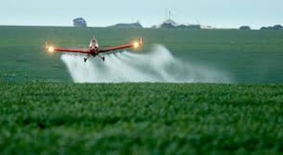 Agrotóxicos estão mais nocivos em todo o mundo, aponta estudo