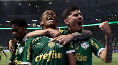 Palmeiras derrota Botafogo e assume liderança do Campeonato Brasileiro