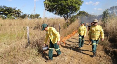 Com fortalecimento da gestão ambiental, Tocantins conquista 1º lugar em sustentabilidade no país