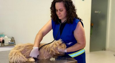 Presidente Lula sanciona Lei que classifica exercício ilegal da Medicina Veterinária como crime