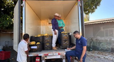 Programa de Aquisição de Alimentos transforma a rotina de pequenos agricultores em Palmas