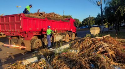 Prefeitura de Palmas conclui coleta de galhadas na região norte da cidade com 1.400 toneladas de resíduos recolhidos