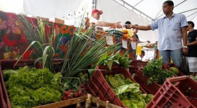 Preço de alimentos recua e inflação oficial de junho fica em 0,16%