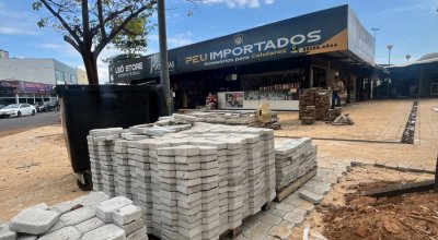 Emenda de Vicentinho garante início da reforma do Camelódromo de Palmas