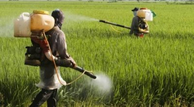 Sete dos dez agrotóxicos mais vendidos no Brasil são proibidos na UE