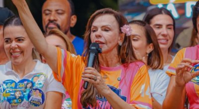 Professora Dorinha propõe a criação de uma política permanente de proteção animal