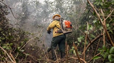 Incêndios no Amazonas resultam de ação humana intencional, diz ministro