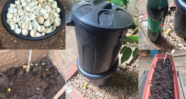 Reciclagem orgânica 
